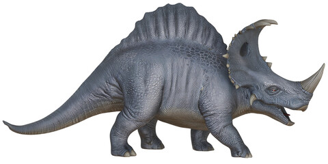 Fototapeta premium Realistic dinosaur model with prominent horns and frill.