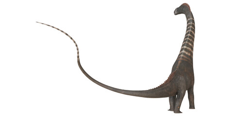 Majestic dinosaur with long neck and tail. © Ilie