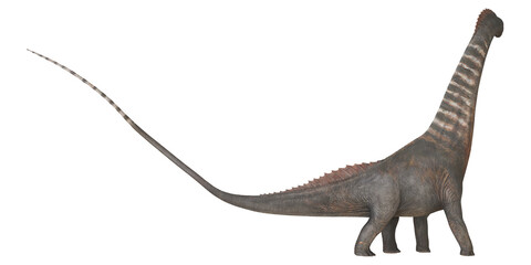 Long-necked dinosaur illustration on white background. © Ilie