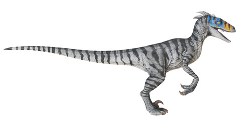 Realistic depiction of a Velociraptor dinosaur.