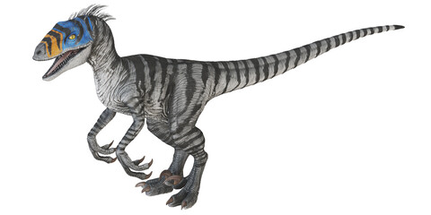 Blue-striped velociraptor on white background