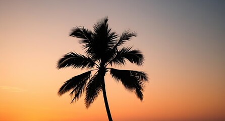 Obraz premium Silhouette of a Palm Tree Against a Vibrant Sunset Sky