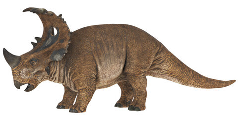 Obraz premium Detailed model of a horned dinosaur.