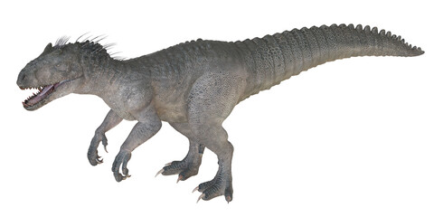 Fototapeta premium Ferocious carnivorous dinosaur in motion.