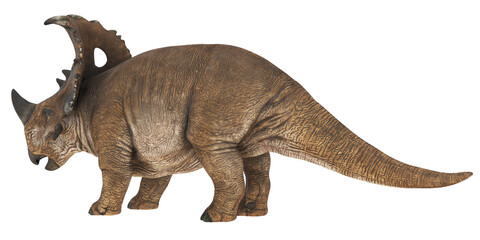 Fototapeta premium Realistic ceratopsian dinosaur toy model