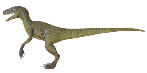 Realistic depiction of a velociraptor dinosaur