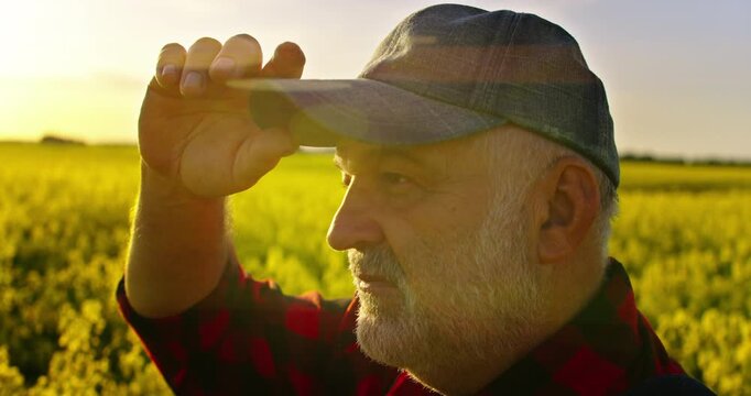 Wrinkled Face Of Senior Farmer Looking On Beautiful Blooming Rape Plantation, Closeup Portrait