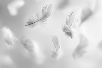 Obraz premium Floating White Feathers Against Light Background