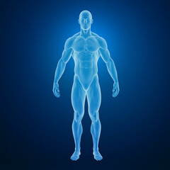 3D rendering of a male human body in a blue glow, displaying muscular anatomy.