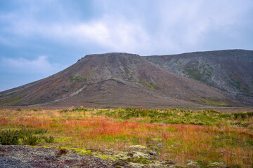 Thick steam from hot ground at Gunnuhver geothermal field on Icelands Reykjanes peninsula