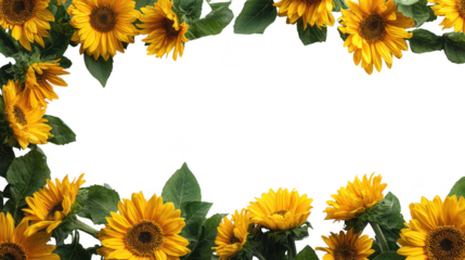 Bright Yellow Decorative Sunflower Border with Green Leaves on Transparent Background