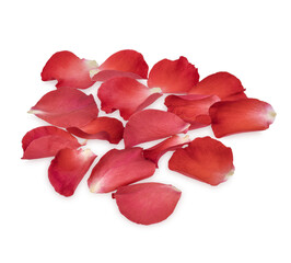 Fresh red rose petals isolated on transparent background (.PNG)