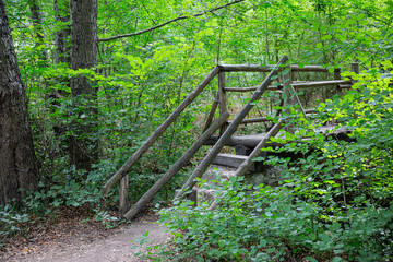 Details from old wooden bridge in a forest