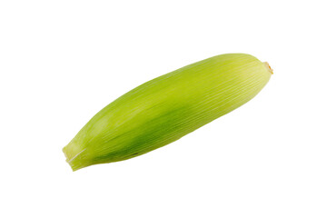 a green plant with a stalk sticking out of it