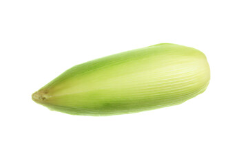a green plant with a white background