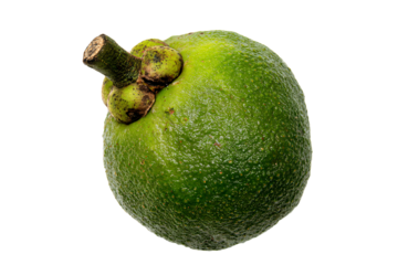 a green fruit with a brown stem on a white background