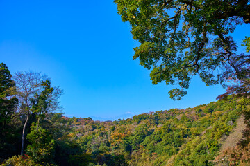秋の鎌倉市の建長寺の富士見台から西側眺望(富士山,紅葉など)