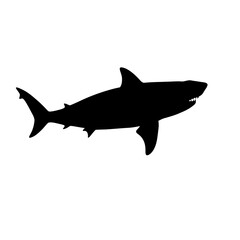 Obraz premium Silhouette of a great white shark swimming, powerful predator, ocean dweller.