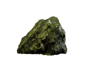 a rock covered in moss on a white background