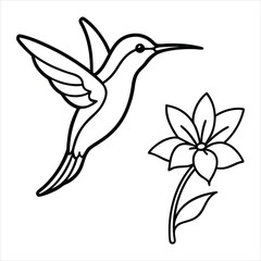 Hummingbird And Flower Outline for Coloring and Art Projects