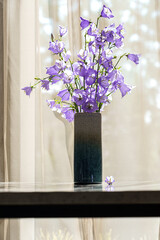 bluebell flowers in a vase
