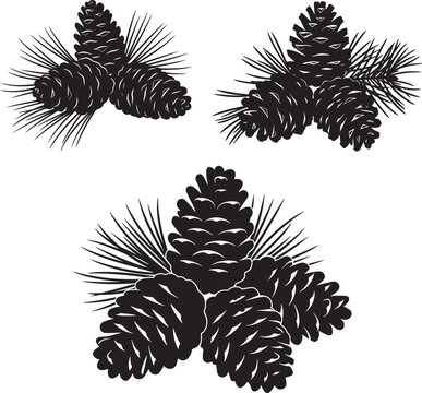 Pine Cone Vector Art