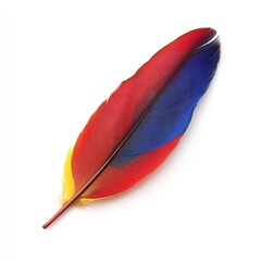 Colorful and vibrant red, blue, and yellow feathers are beautifully isolated on a clean white background