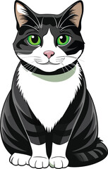 Obraz premium Cute black kitten or cat, isolated on white background, looking adorable