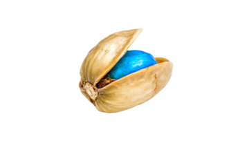 a nut shell with a blue ball inside