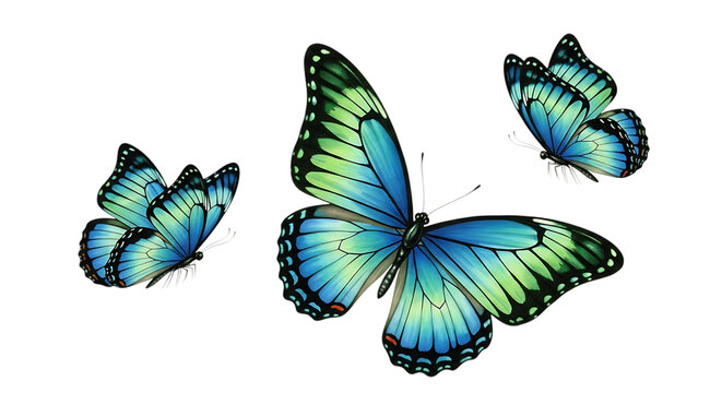 Fototapeta Illustration of three vivid blue and green butterflies are captured in