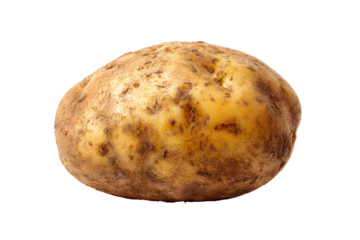 Single raw potato with earthy texture isolated on transparent background