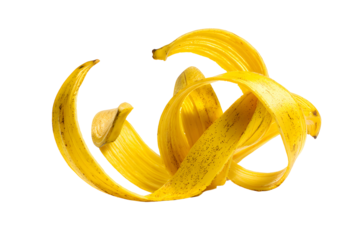 Yellow banana peel artfully peeled and curved isolated on transparent background