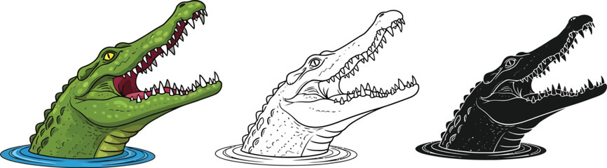 Fototapeta premium Illustration of alligator crocodile reptile in water with open mouth in color outline and silhouette vector
