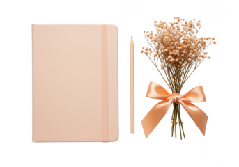 Aesthetic flat lay of a peach notebook pencil and dried flower bouquet with ribbon isolated on transparent background