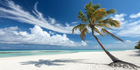 Tropical Beach Scene Leaning Palm, White Sand, Blue Sky, Cloud Composition, Idyllic Island Escape Keywords Paradise, Vacation