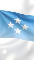 Obraz premium Official Flag series : Oceania - A vibrant vector illustration set of national flags and patriotic ribbons with a sprinkle of gold, featuring the waving flag of Federated States of Micronesia 002
