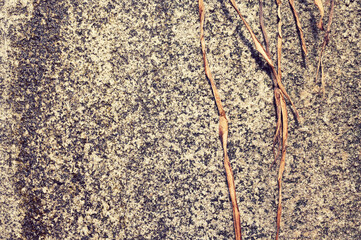 背景に最適な画像08