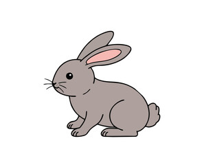 vector illustration of a rabbit