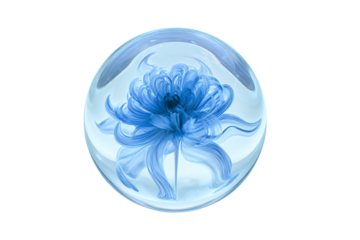 a blue flower in a glass vase on a white surface