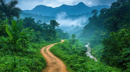 Serene Jungle Path: A Misty Morning in the Rainforest