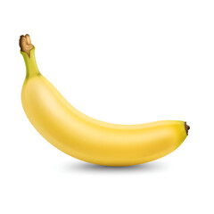 White kitchen refrigerator appliance with double doors and freezer section