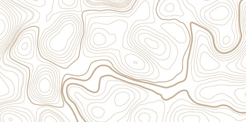 Topographic line contour geographic grid map background vector illustration. Topographic line on white background.
