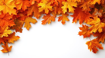 Autumnal Maple Leaf Border: A vibrant collection of autumn leaves forming a beautiful border against a crisp white backdrop. Perfect for fall-themed designs and seasonal greetings.