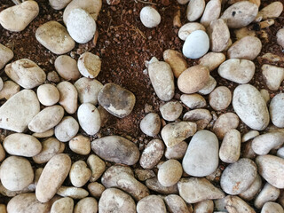Natural light colored stones on dark brown soil