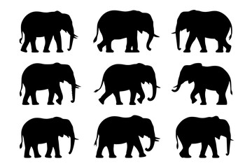 Elephant Silhouettes: A collection of nine elegant black and white line art elephant silhouettes, showcasing various walking poses against a white background.