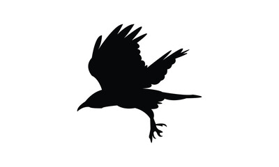 Fototapeta premium Flying American crow bird Silhouette Design And Vector Illustration. 