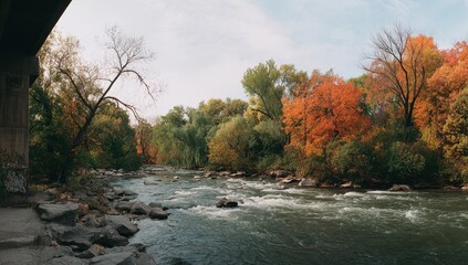 Autumnal river scene under a bridge
