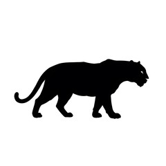 Silhouette of a Powerful and Majestic Tiger Striding Gracefully Across a Plain Background