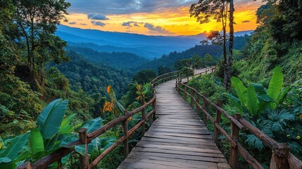 Fototapeta premium Wooden pathway winding through lush tropical mountains at sunset