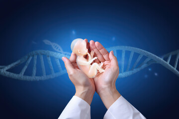 Human embryo in hands with dna strand in background on blue gradient medical science concept image
